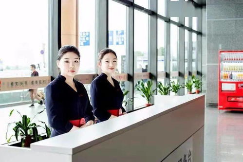 自助值機(jī)營銷員 駐點營銷經(jīng)理崗位等你來 真檸